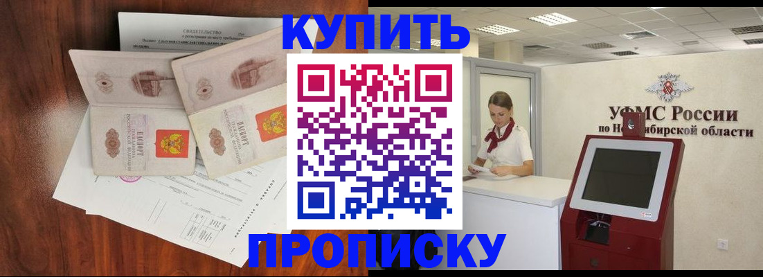 временная регистрация поиск в Павловске